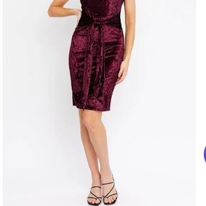 Gilli Velvet Burgundy Dress